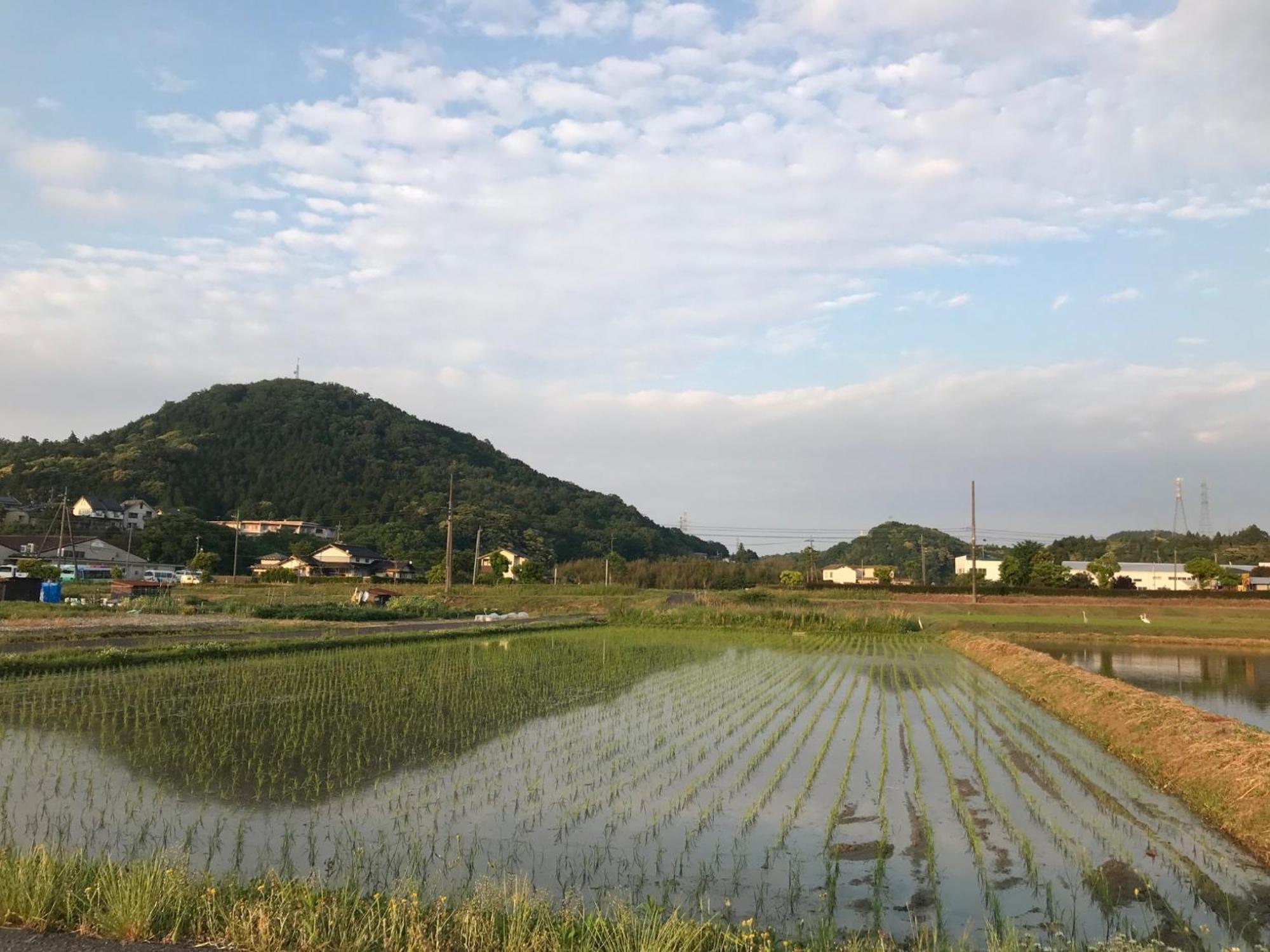 Morinoka - Vacation Stay 43707V Matsue Dış mekan fotoğraf